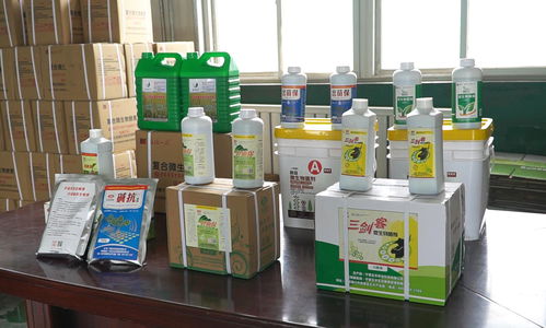 秸秆资源化利用技术 助力构建宁夏现代循环农业模式的关键引擎